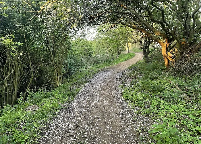 Holiday home Sandy Bottoms