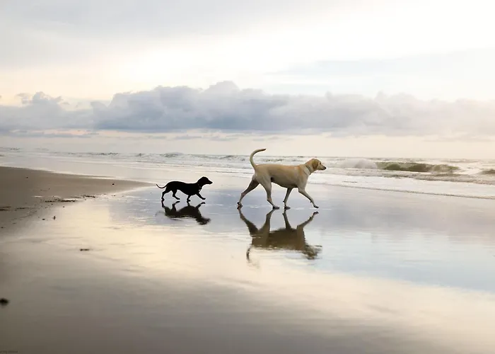 Holiday home Sandy Bottoms Filey