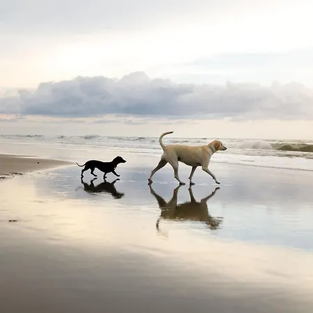 Prázdninový dům Sandy Bottoms Filey